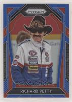 Variation - Richard Petty