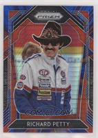 Variation - Richard Petty