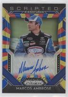 Marcos Ambrose #/24