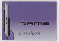 Team Logos - Dams #/399