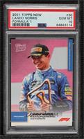 Lando Norris [PSA 10 GEM MT] #/3,795