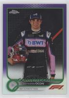 F1 Racers - Esteban Ocon