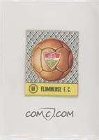 Fluminese F.C.