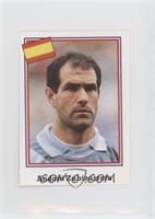 Andoni Zubizarreta [EX to NM]