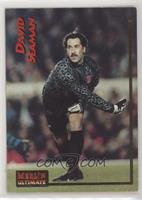 David Seaman