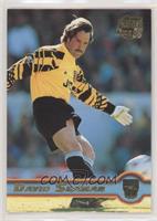 David Seaman [EX to NM]