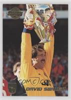 David Seaman