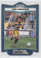 Gold Stars - Fabio Cannavaro