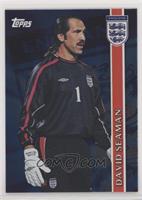 David Seaman