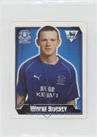 Wayne Rooney