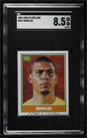 Ronaldo [SGC 8.5 NM/Mt+]