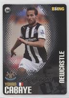 Yohan Cabaye