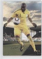 Vincent Enyeama #/295