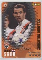 Darijo Srna