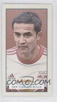 Tim Cahill