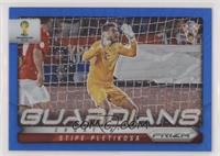 Stipe Pletikosa #/199