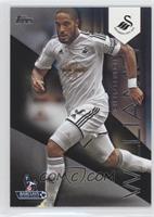 Ashley Williams #/25