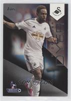 Nathan Dyer [EX to NM] #/25