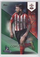 Shane Long #/60