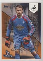 Lukasz Fabianski #/11