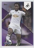 Wilfried Bony #/50