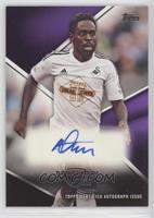 Nathan Dyer #/50