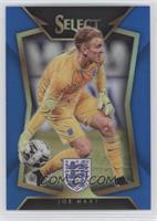 Joe Hart (Ball Back Photo Variation) #/299