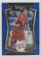 Stephan Lichtsteiner #/299