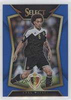 Axel Witsel (Ball Back Photo Variation) #/299