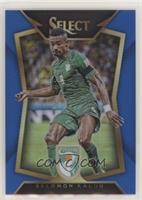 Salomon Kalou (Ball Back Photo Variation) #/299