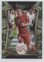 Fabian Schar (Ball Back Photo Variation) #/249