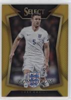 Gary Cahill #/10