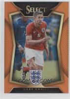 Gary Cahill (Ball Back Photo Variation) #/149