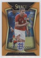 Gary Cahill (Ball Back Photo Variation) #/149