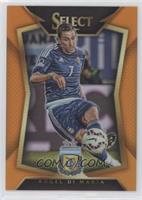 Angel Di Maria (Ball Back Photo Variation) #/149