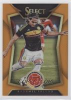 Radamel Falcao (Ball Back Photo Variation) #/149