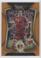 Axel Witsel #/149