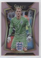 Joe Hart #/20