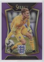 Joe Hart (Ball Back Photo Variation) #/99