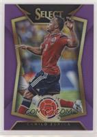 Camilo Zuniga (Ball Back Photo Variation) #/99