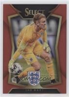 Joe Hart (Ball Back Photo Variation) #/199