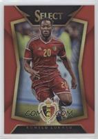 Romelu Lukaku #/199