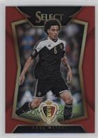 Axel Witsel (Ball Back Photo Variation) #/199