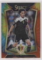 Axel Witsel (Ball Back Photo Variation) #/30