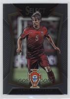 Fabio Coentrao (Ball Back Photo Variation)