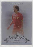 Axel Witsel #/14