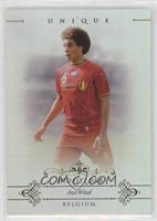 Axel Witsel #/30