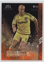 Federico Higuain #/25