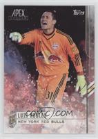 Luis Robles