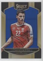 Terrace - Fabian Schar #/299